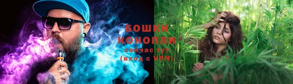 амф Богданович