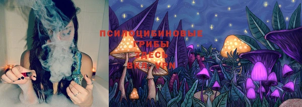 ПСИЛОЦИБИНОВЫЕ ГРИБЫ Богородск